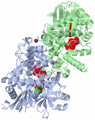 Image Biological Unit 3