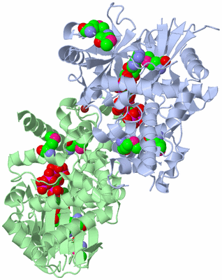 Image Biological Unit 1