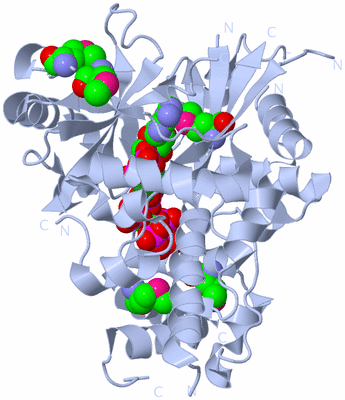 Image Biological Unit 2