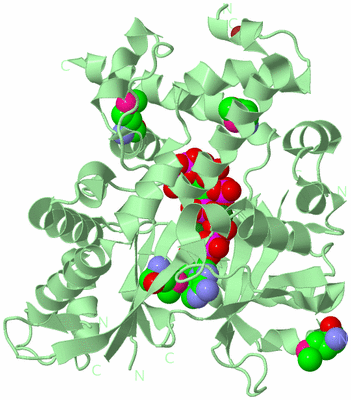 Image Biological Unit 3