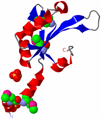 Image Asym./Biol. Unit