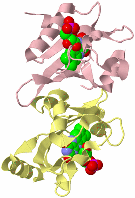 Image Biological Unit 2