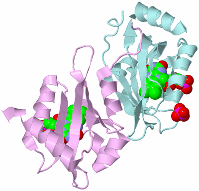 Image Biological Unit 3