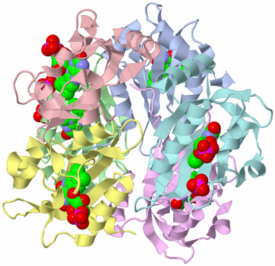 Image Biological Unit 4