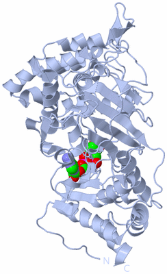 Image Biological Unit 1