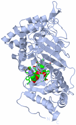 Image Biol. Unit 1 - sites