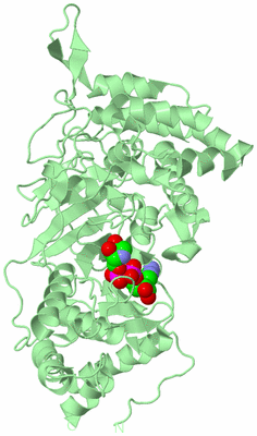 Image Biological Unit 2