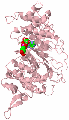 Image Biological Unit 3