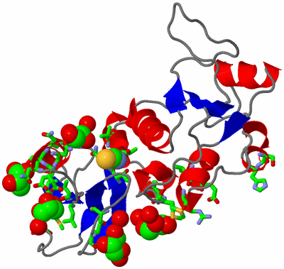 Image Asym./Biol. Unit - sites