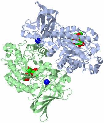 Image Asym./Biol. Unit