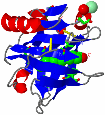 Image Asym. Unit - sites