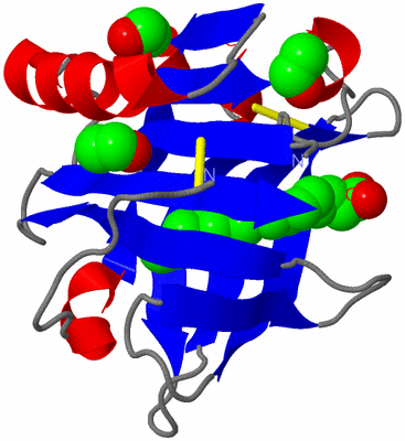 Image Asymmetric Unit