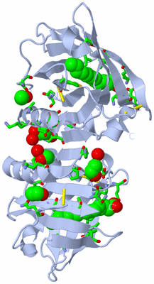 Image Biol. Unit 1 - sites