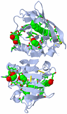 Image Biol. Unit 1 - sites