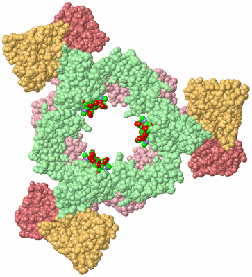 Image Biological Unit 2