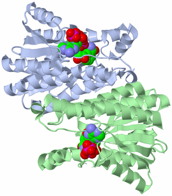 Image Biological Unit 2