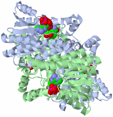 Image Biological Unit 3