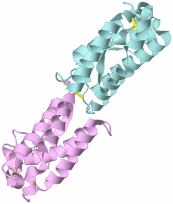 Image Biological Unit 3