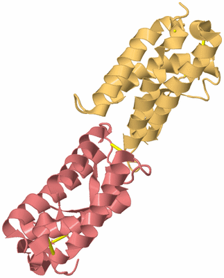 Image Biological Unit 4