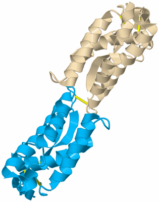 Image Biological Unit 5