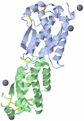 Image Asym./Biol. Unit