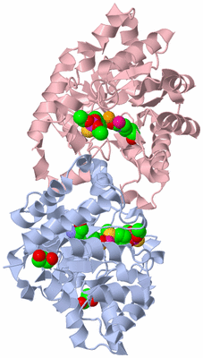 Image Biological Unit 1