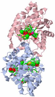 Image Biol. Unit 1 - sites