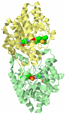 Image Biological Unit 2