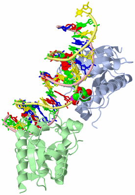 Image Biological Unit 1