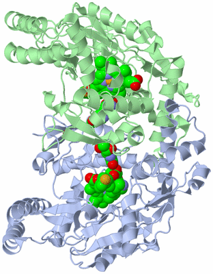 Image Asym./Biol. Unit