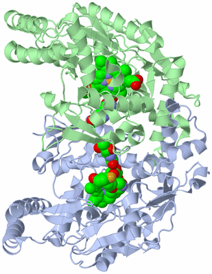 Image Asym./Biol. Unit