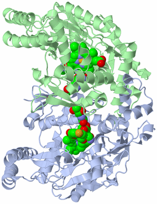 Image Asym./Biol. Unit