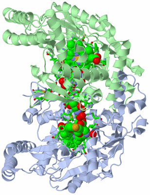 Image Asym./Biol. Unit - sites