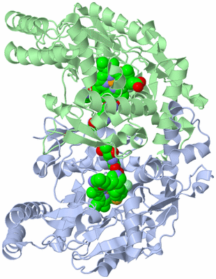 Image Asym./Biol. Unit