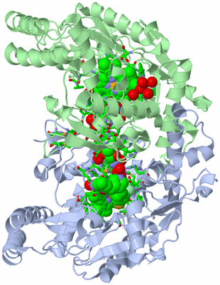 Image Asym./Biol. Unit - sites