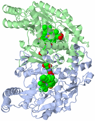 Image Asym./Biol. Unit