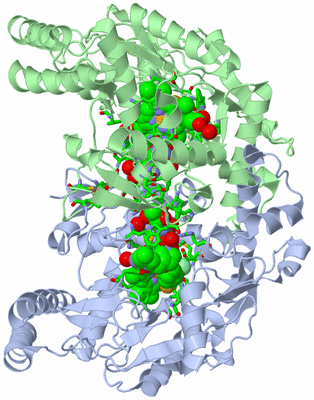 Image Asym./Biol. Unit - sites