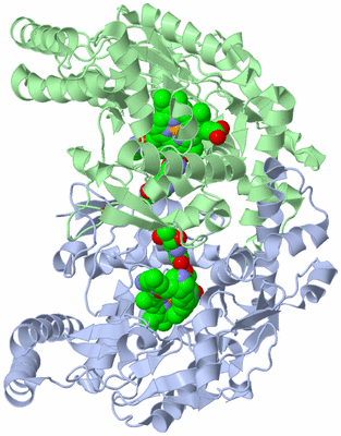 Image Asym./Biol. Unit