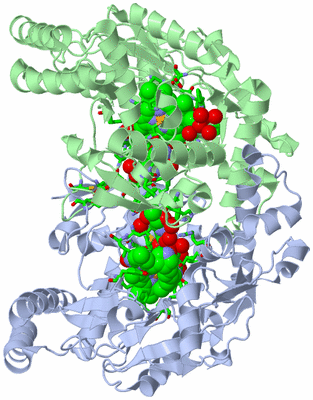 Image Asym./Biol. Unit - sites