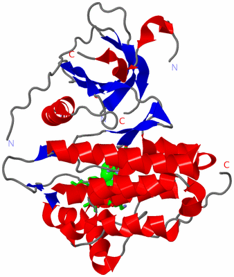 Image Asym. Unit - sites