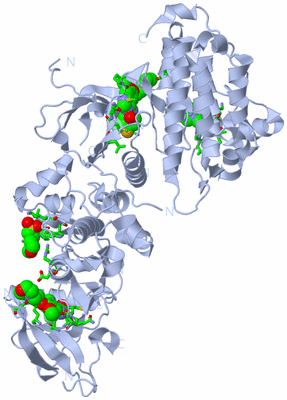 Image Biol. Unit 1 - sites