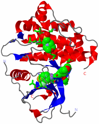 Image Asym. Unit - sites