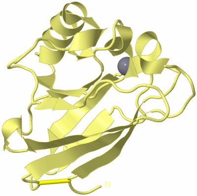 Image Biological Unit 4