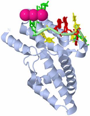 Image Biological Unit 1