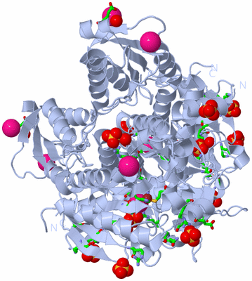 Image Biol. Unit 1 - sites