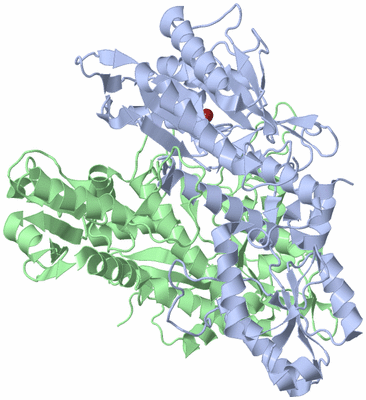 Image Biological Unit 1