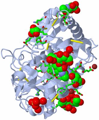 Image Asym./Biol. Unit - sites