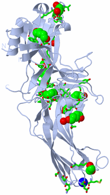 Image Biol. Unit 1 - sites