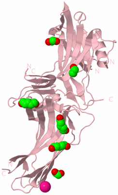 Image Biological Unit 3