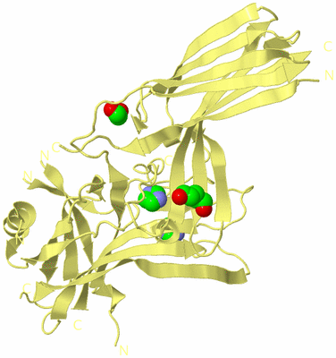 Image Biological Unit 4